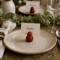 Cast Iron Plump Tiny Bird Card/Photo Holders – Set of 4 - 2 colours