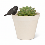 Bird on Pot 1:1