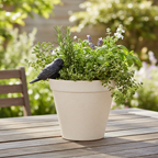 Bird on Terra Cotta Planter Lifestyle